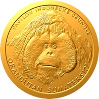 Orangutan sumatrianský