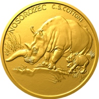 Nosorožec dvourohý