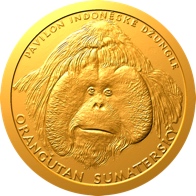Orangutan sumaterský
